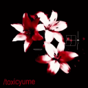 ⑅ ݁𓈒🥩𓏴   ᚐ  /toxicyume　 ͜　𓐇˚    dj2l　ִִ𓈒꒱꒱ Discord server icon