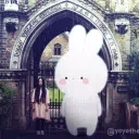 bunny