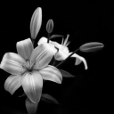 @sonder Discord server icon