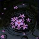 Blossoms's