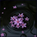 🌸『 Blossoms 』