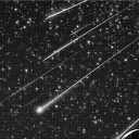 ੈ✩‧₊˚༺ 𝕎𝕚𝕝𝕝𝕠𝕨𝕤 ℙ𝕠𝕚𝕟𝕥 ༻*ੈ✩‧₊˚ discord icon