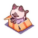 𝚂𝚎𝚕𝚏𝚜𝚑𝚒𝚙 𝚂𝚑𝚎𝚕𝚝𝚎𝚛 Discord server icon