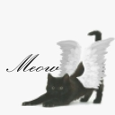 ִֶָ. ..𓂃 ࣪ ִֶָ 𑣲 meow’s lounge🪽་༘࿐ Discord server icon