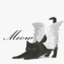 ִֶָ. ..𓂃 ࣪ ִֶָ 𑣲 meow’s lounge🪽་༘࿐