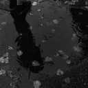 ˚₊· ͟͟͞͞➳❥ 𝖋𝖔𝖌𝖇𝖔𝖚𝖓𝖉 𝖒𝖊𝖒𝖔𝖗𝖞⋆｡°✩