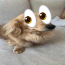 Idiot rates u Discord server icon