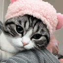 Lil' Spark⋆｡‧˚ Discord server icon