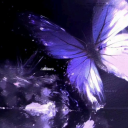 ᴍᴀʀɪᴘᴏsᴀ Discord server icon