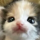 Sleepy guy Discord server icon