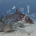 Bitey Babies 🫧🦈 Discord server icon