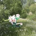 fields of white liles | crk guild