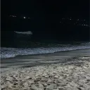 /turks