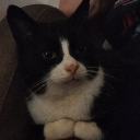 FEELSKNIGHT Discord server icon