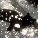 Abi's Fun Dungeon's icon