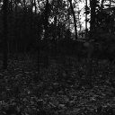 haunt Discord server icon