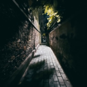 RWBY: Silverblume Discord server icon