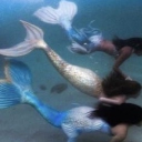 Mako: Secrets Beneath The Surface