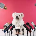 Debaters Daily Server Icon