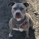 Daddysamuel 💵 Discord server icon