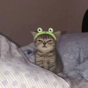 Moreau's Basement 🎬📘 Discord server icon