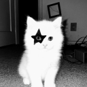 cool place...? Discord server icon