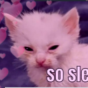 ❤ 𝘔𝘦𝘰𝘸 + 𝘔𝘶𝘴𝘪𝘤 𝘗𝘳𝘰𝘥𝘶𝘤𝘵𝘪𝘰𝘯 ❤ Discord server icon