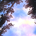 ☄. *. ⋆ Wings of Fire: Broken Horizons Discord server icon