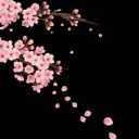 Vap's Buying Server Discord server icon