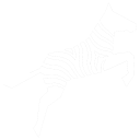 Zoo Code icon