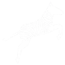 Zoo Code