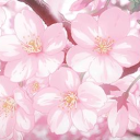 Kat's Boutique Discord server icon