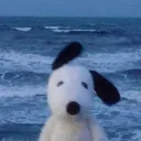𝒓𝒂𝒘𝒂𝒒