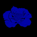 𝒓𝒂𝒘𝒂𝒒