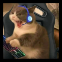 The Litterbox