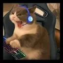 The Litterbox