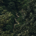 𝘄𝗲𝗹𝗰𝗼𝗺𝗲 𝘁𝗼 𝐉𝐔𝐌𝐀𝐍𝐉𝐈🌿 Discord server icon