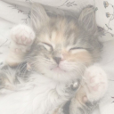 ! ୧ ֹ ִ'Serenity Archive! WIP Discord server icon