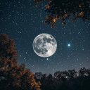 VOGUE 🌕┃ ASK TO DM ✧ SFW ✧ E-DATE ✧ FRIENDS Discord server icon