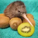 Kiwi's Korner