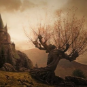 𝐃𝐀𝐑𝐊𝐍𝐄𝐒𝐒 𝐆𝐑𝐎𝐖𝐒 𝐈𝐋𝐋. Discord server icon