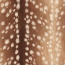 angel.exe Discord server icon