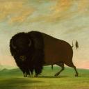The Frontier