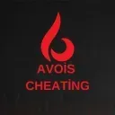 Avois Software | Private Solutions