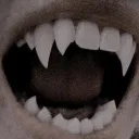 ⌗ „ vampire cavern 🦷