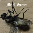 Гныль Метал
