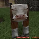 Loner SMP