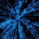 WAWANAKWA ┆ school spirits ⇵ Discord server icon