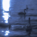 Moonlit Heaven