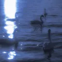 Moonlit Heaven